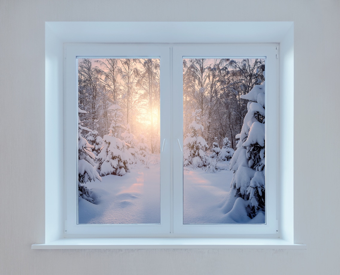 Blogs 10 early morning view of the winter forest from the window.